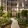 a courtyard with trees and plants in front of a building